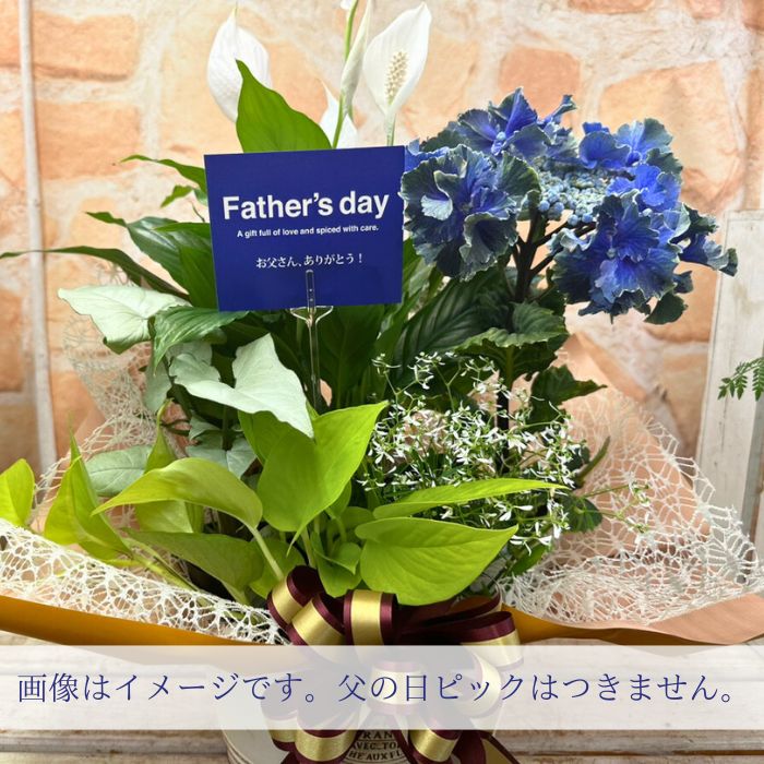 父の日寄せ鉢通常用