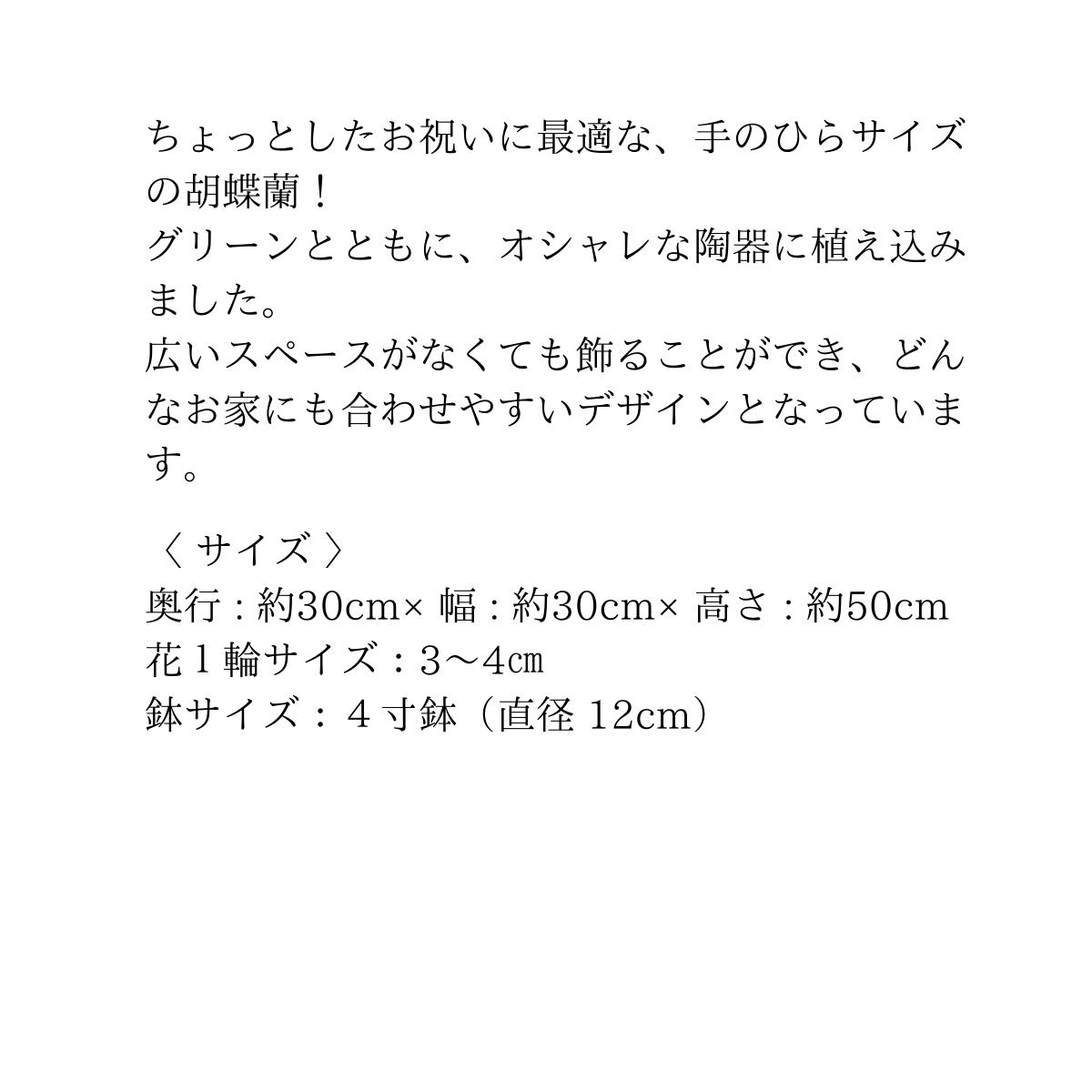 マイクロ胡蝶蘭 ハートポット