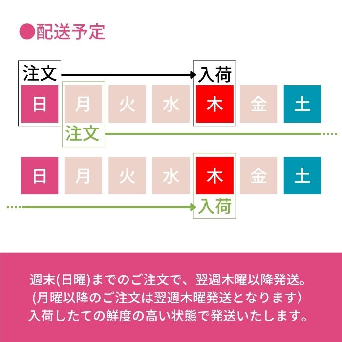 夏の花苗配送予定