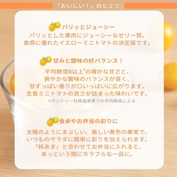 ミニトマト苗 ハニーイエロー