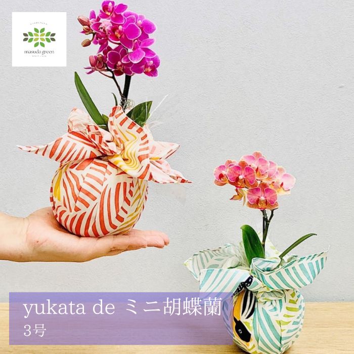 yukata de 胡蝶蘭1本立てロゴ入り